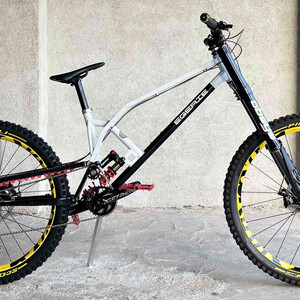 Custom Egerie Radical Replica FB